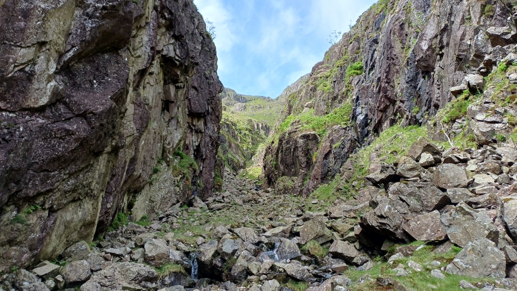 Crinkle Gill